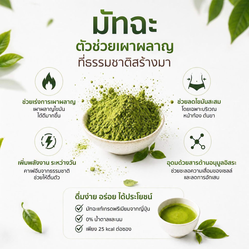 KiO MATCHA PLUS (10 Sachets)