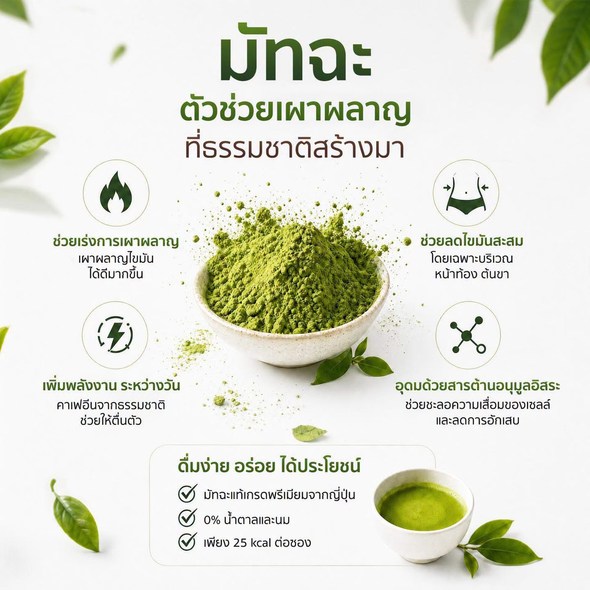 KiO MATCHA PLUS (10 Sachets)