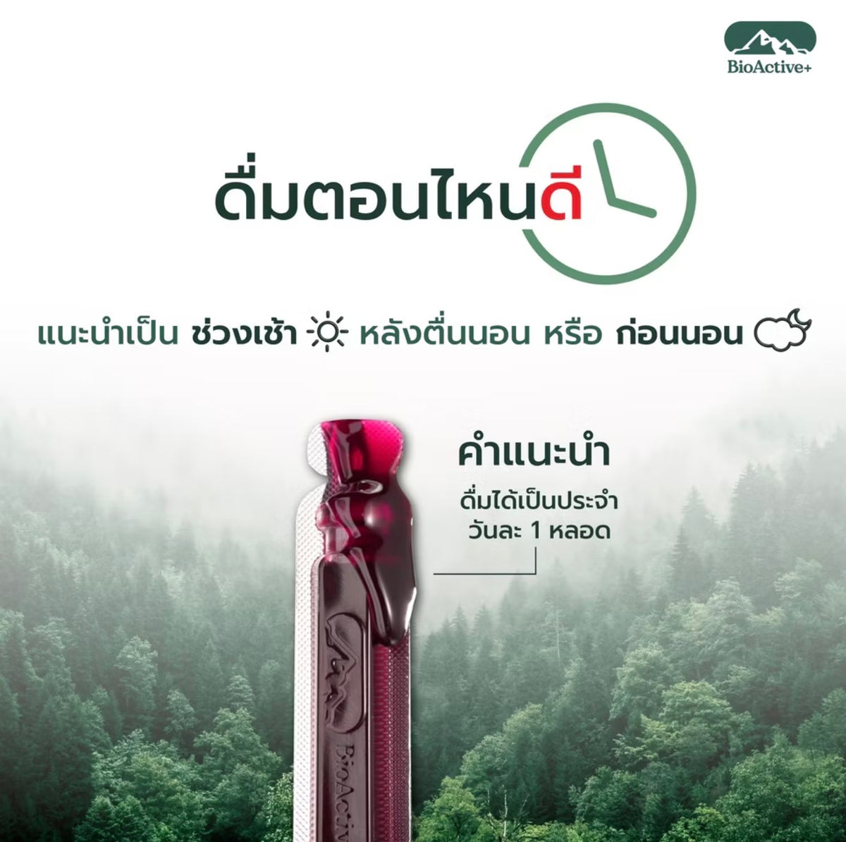 Concentrated Liquid Collagen  (10 tubes)