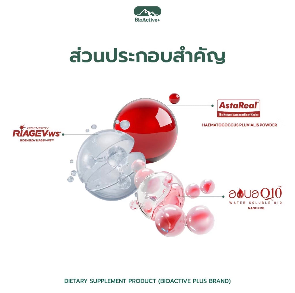 Concentrated Liquid Asta Drink  (10 tubes)