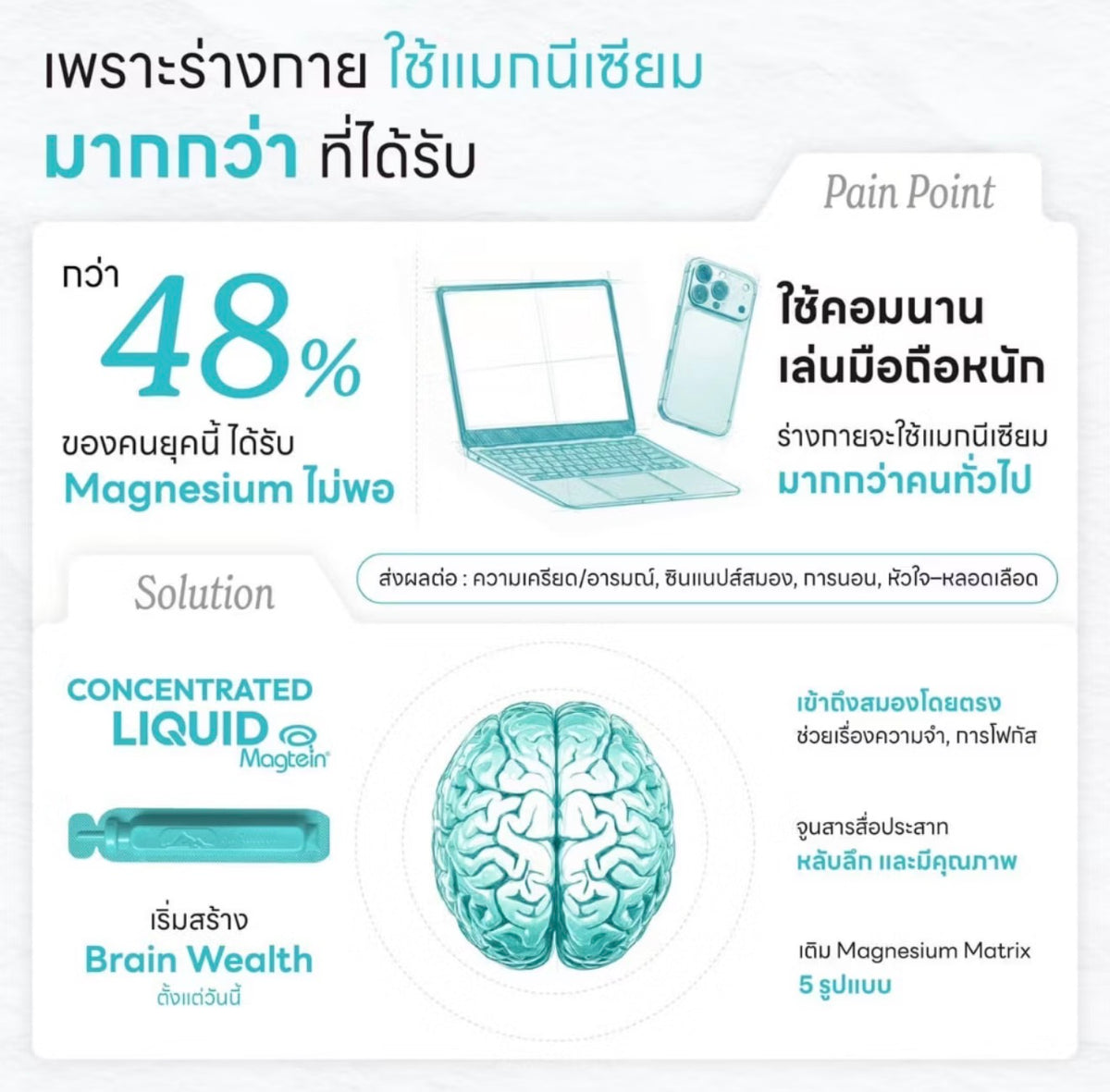 Concentrated Liquid Magtein (10 tubes)