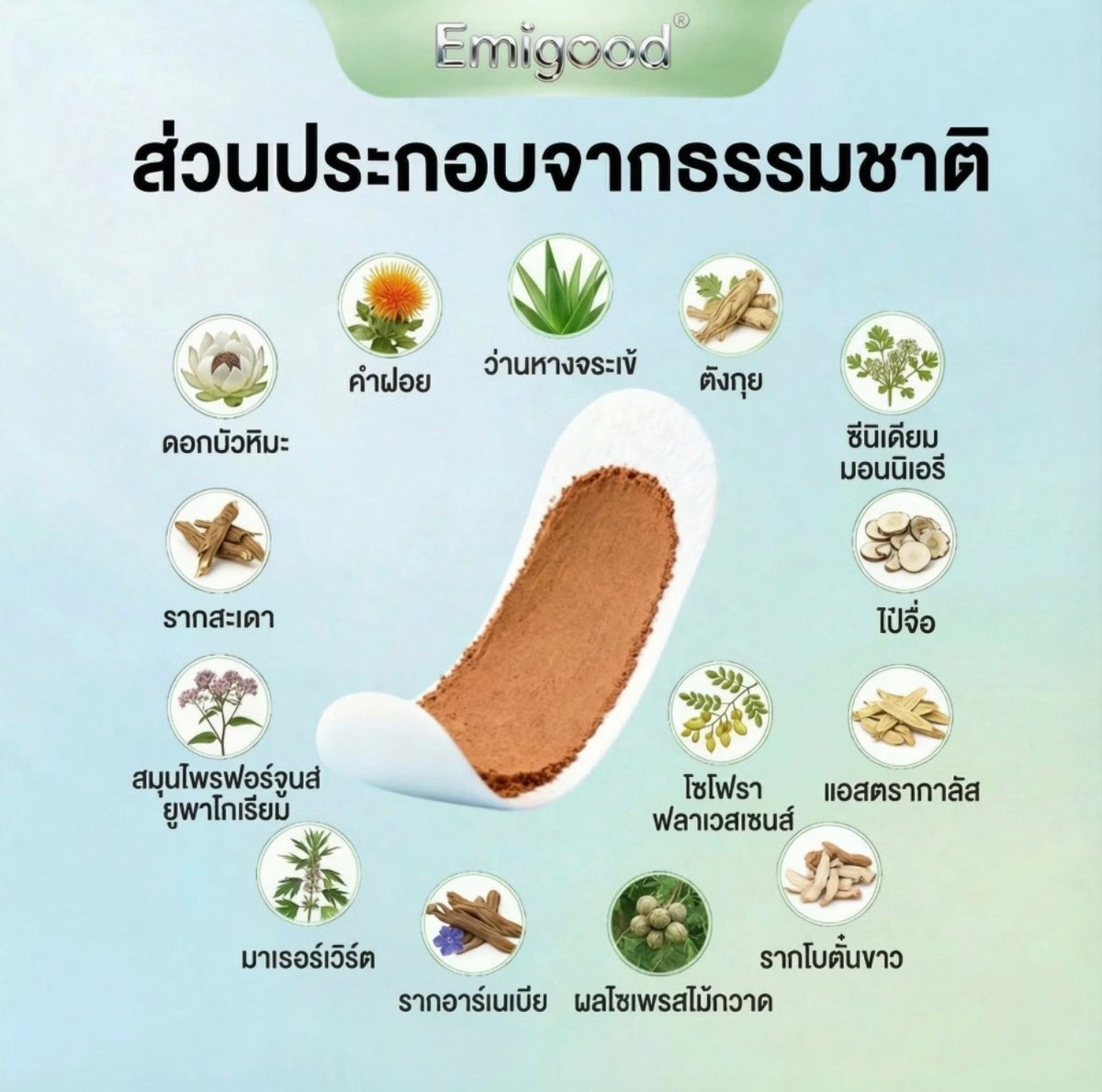 Emigood แผ่นอนามัยสมุนไพรบัวหิมะ ผ้าฝ้ายแท้ ลดกลิ่น บำรุงจุดซ่อนเร้น (6 ชิ้น)